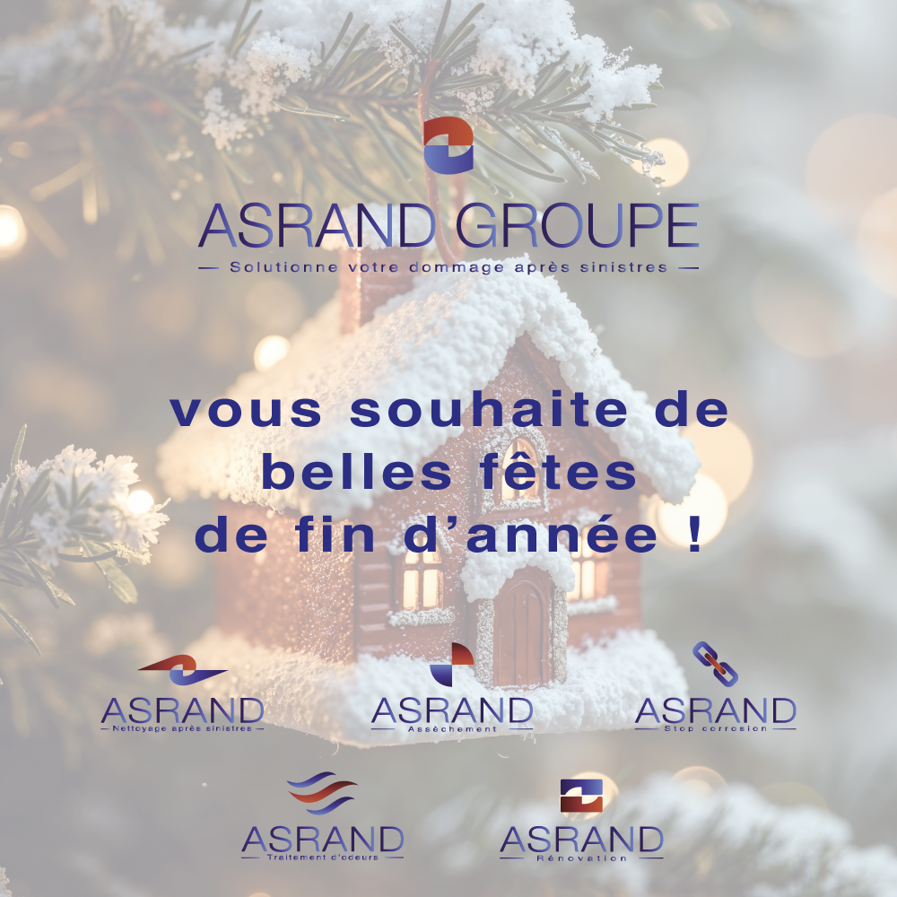 belles fêtes de fin d'année 2025